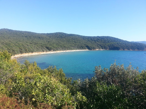 Discover "Dolce Vita" at 5 top Tuscan beaches