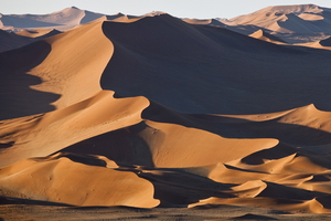 Wildlife Safari: Namibia