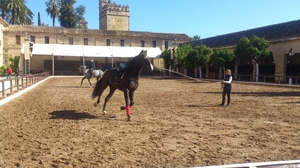 The charming Cordoba made me blush