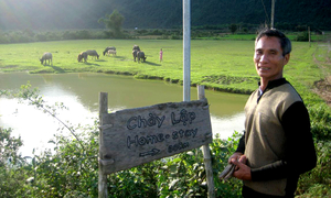Hue - DMZ - Chay Lap - Phong Nha Cave 3 Days 2 Nig