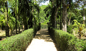 Hue Tours - Full Day in Phuoc Tich