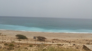 The Oman Drive off