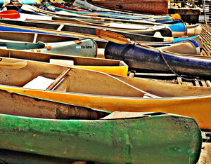 Escape Buenos Aires: Do A Day Trip To Tigre