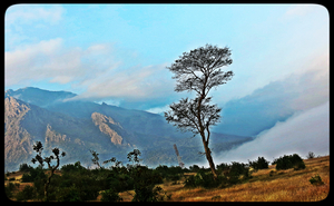 Through the never ending forests – Masinakudi