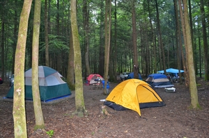 Into the wild : The yogi who camped and hiked