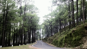 Khirsu Uttarakhand : A mesmerising weekend