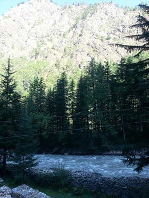Trippy Tosh. Kalga. Kheerganga. (Parvati Valley)