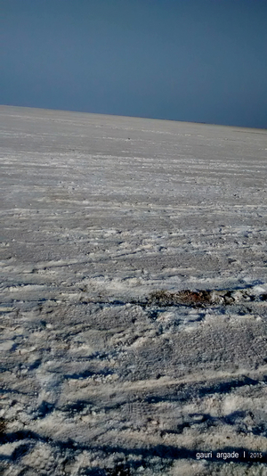 Rann Of Kutch