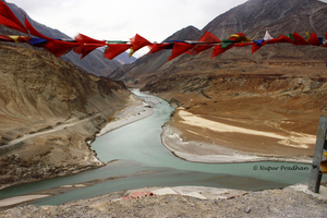 A First Timer's Guide to Ladakh