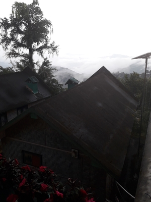 Nagaland - unexplored paradise!