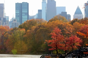 Fall foliage of New England