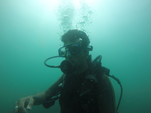 Oblivious near the ocean in Andamans