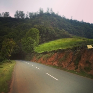 Roadtrip to Ooty