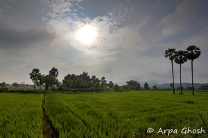 Warangal ~ the Land of the Kakatiyas