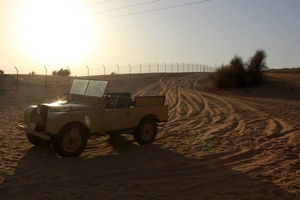 Wild Dubai