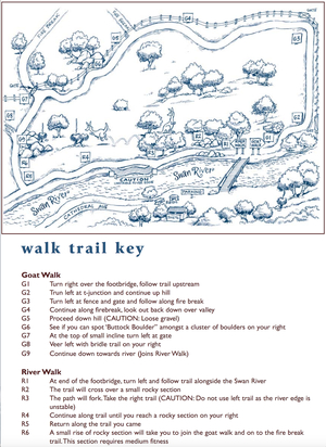 Gals adventure day: Trekking at Bell Rapids
