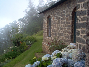 Kodaikanal - A place where you would wish to spend the rest of your life.