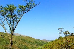 A Day Of Sheer Adventure: Kudremukh Trek