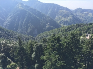 Sach pass - Where courage fears to speak even...