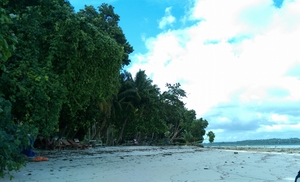 Scuba Diving at Havelock Island
