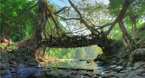 Ten Trippy places to visit in India
