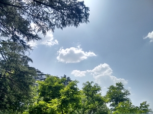 The Other Side of Shimla