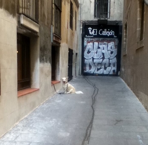 Fiesta, Siesta and Barcelona