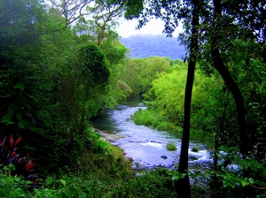 This couple Transformed 300 Acres Of Farmland Into India's First Private Wildlife Sanctuary