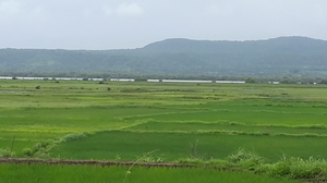 Alibaug the palaces of beach.