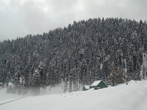 Skiing and Gulmarg go hand in hand