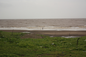 Bordi beach : The Weekend Getaway From Mumbai