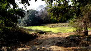 Ranthambore National Park