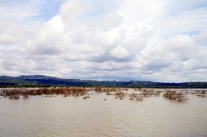 Goa on my own - Beyond the beaches
