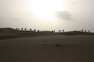 Travelling beyond hills & beaches: Jaisalmer-The Golden City
