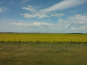 Powering Through the Canadian Prairies