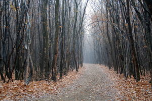 These 19 Nightmarish Places Will Keep You Awake All Night