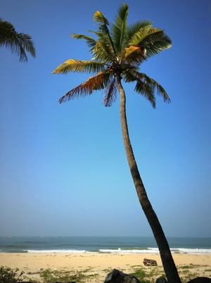 Idyllic Coastal Udupi