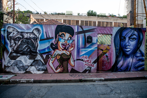 Sao Paulo, Brazil and the beginning