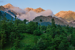 Chatpal less known in Kashmir