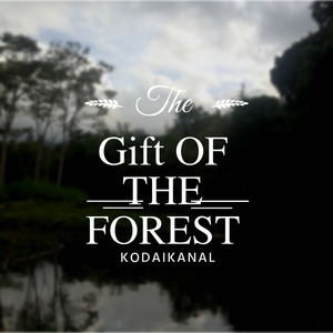 The Gift of the Forest: Kodaikanal