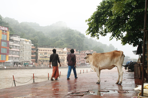 The gateway to the Himalayas