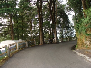 Dalhousie to Khajjiar – Pick your pine cones!