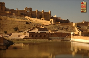 Camel Safari in Rajasthan