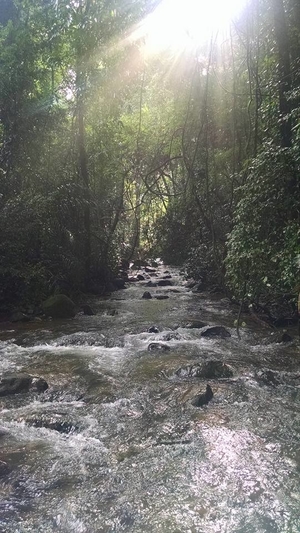 The next BIG THING after Dudhsagar in Goa