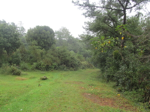 SOLO Trekking: David Scott Trail