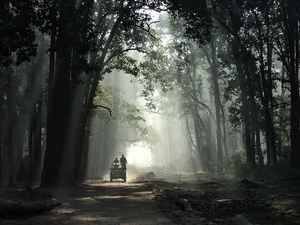 Start Your Year With The Best Places To Visit In India In January!