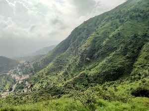 Local's Delight : Karol Trek (Solan)