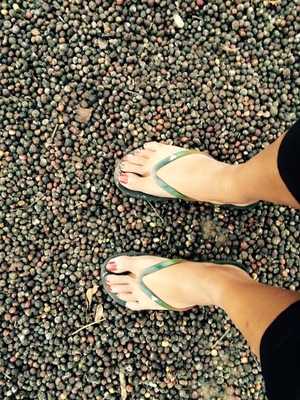 South Sojourn: How I Used Technology to Save Money and Meet Awesome People on the Road