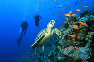 Mexico: A Coastal Sojourn