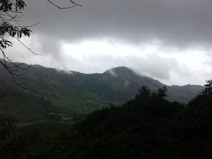 Being Wild with Nilgiri Tahr: Eravikulam National Park